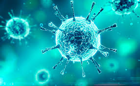 О неотложных мерах по предупреждению распространения коронавирусной инфекции (COVID-19)